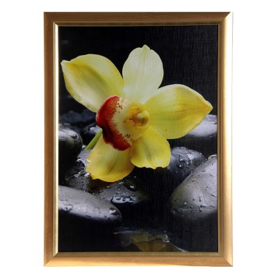 Картина Орхидея 714 70х50 см
