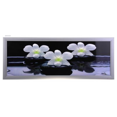 Картина White orquid con piedras