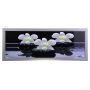 Картина White orquid con piedras