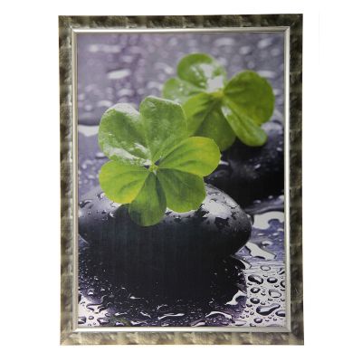 Картина Камни 643 50х70 см