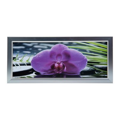 Картина Орхидея 236 20х50 см