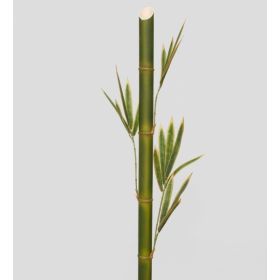 Стебель бамбука 4 ветки