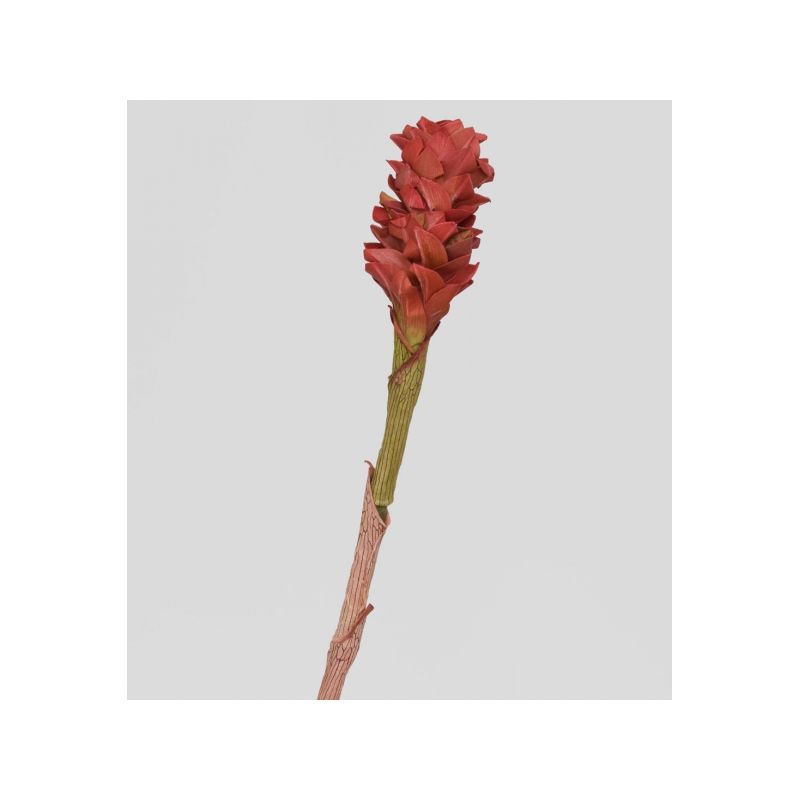 TR 566S Цветок имбиря