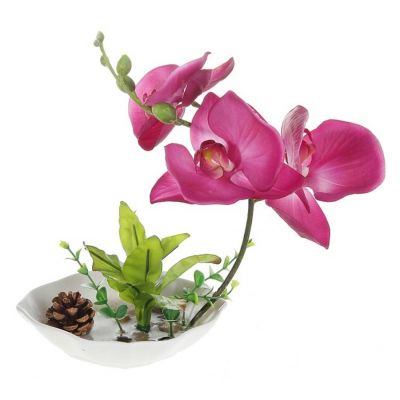 Композиция в чаше с шишкой "Орхидея Фаленопсис" (микс)