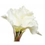 Купить Амариллис кремовый, Искусственные цветы